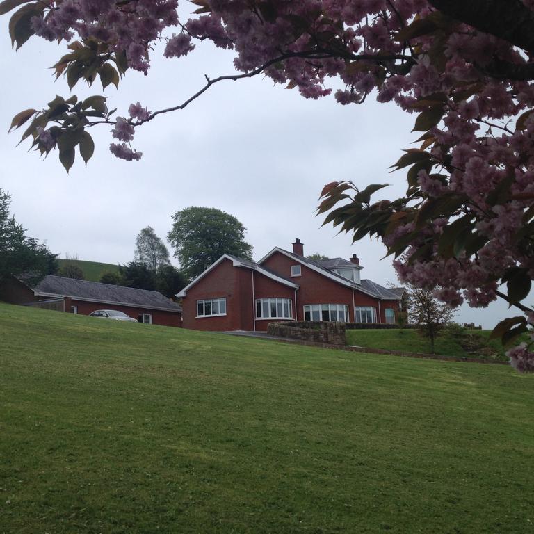 White Hill Country House B&B Castleblayney Bagian luar foto